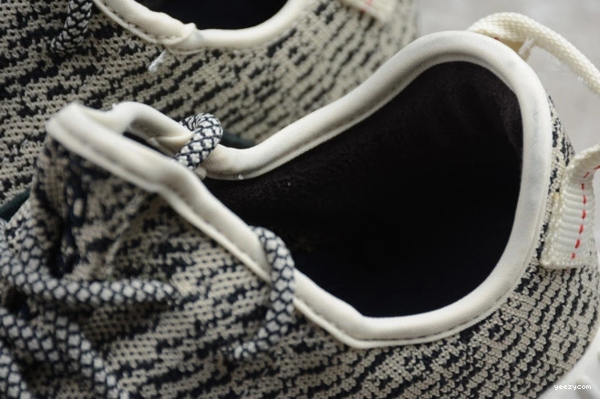 Dove YEEZY AQ4832 Turtle 350 Adidas Boost 1210